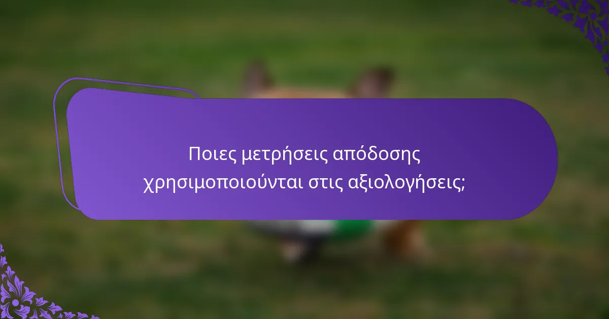 Ποιες μετρήσεις απόδοσης χρησιμοποιούνται στις αξιολογήσεις;