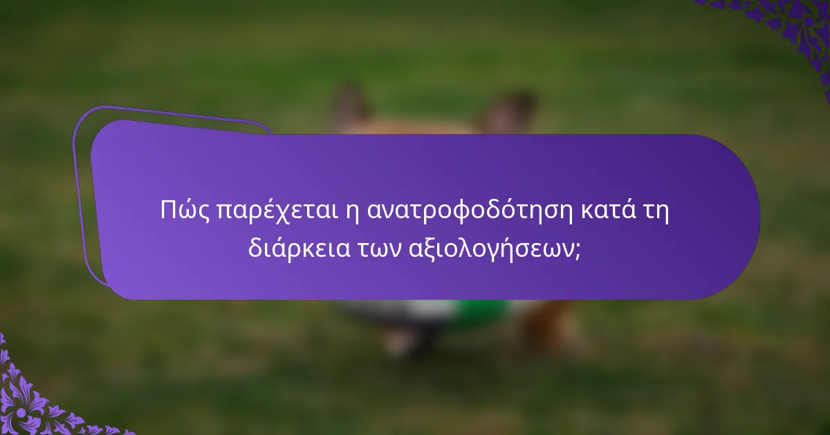 Πώς παρέχεται η ανατροφοδότηση κατά τη διάρκεια των αξιολογήσεων;